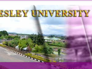 wesley university